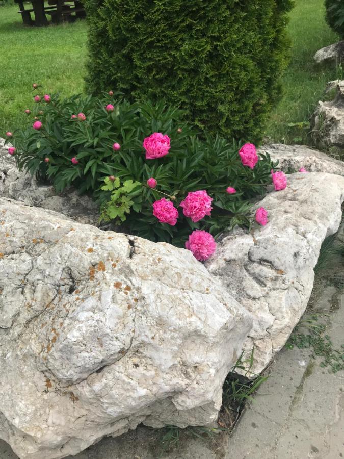 Vila Vraja Muntelui Moieciu de Jos Dış mekan fotoğraf