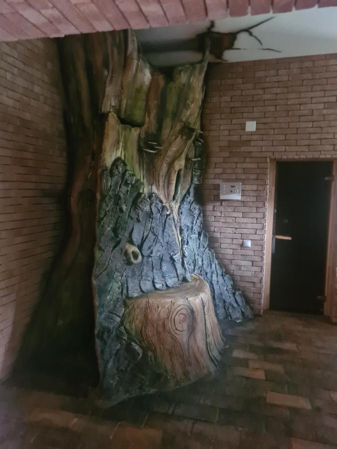 Vila Vraja Muntelui Moieciu de Jos Dış mekan fotoğraf